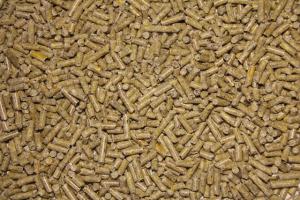 Organic feed for pregnant sows