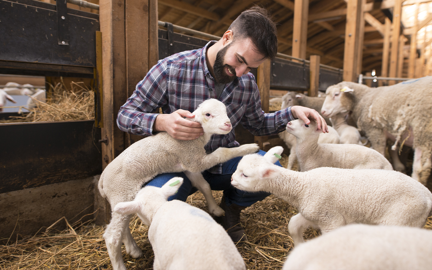 Entdecke die Revolution auf dem Bauernhof mit dem ökologischen Futter von Bifeedoo