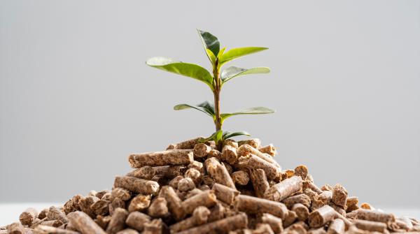 Vorteile von Bio-Futtermitteln im Winter: Eine wichtige Ern&auml;hrung f&uuml;r Tierwohl und Produktivit&auml;t
