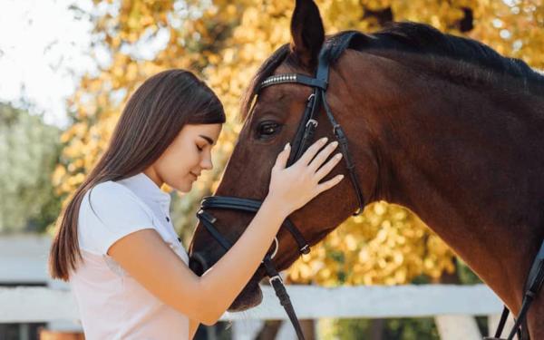 Our organic horse feed is transforming equine health