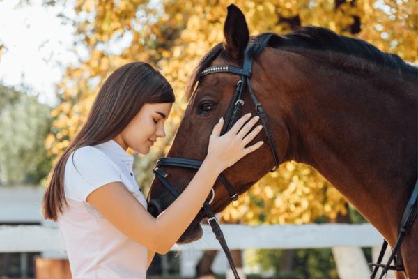 Nuestro pienso ecológico para caballos está transformando la salud equina