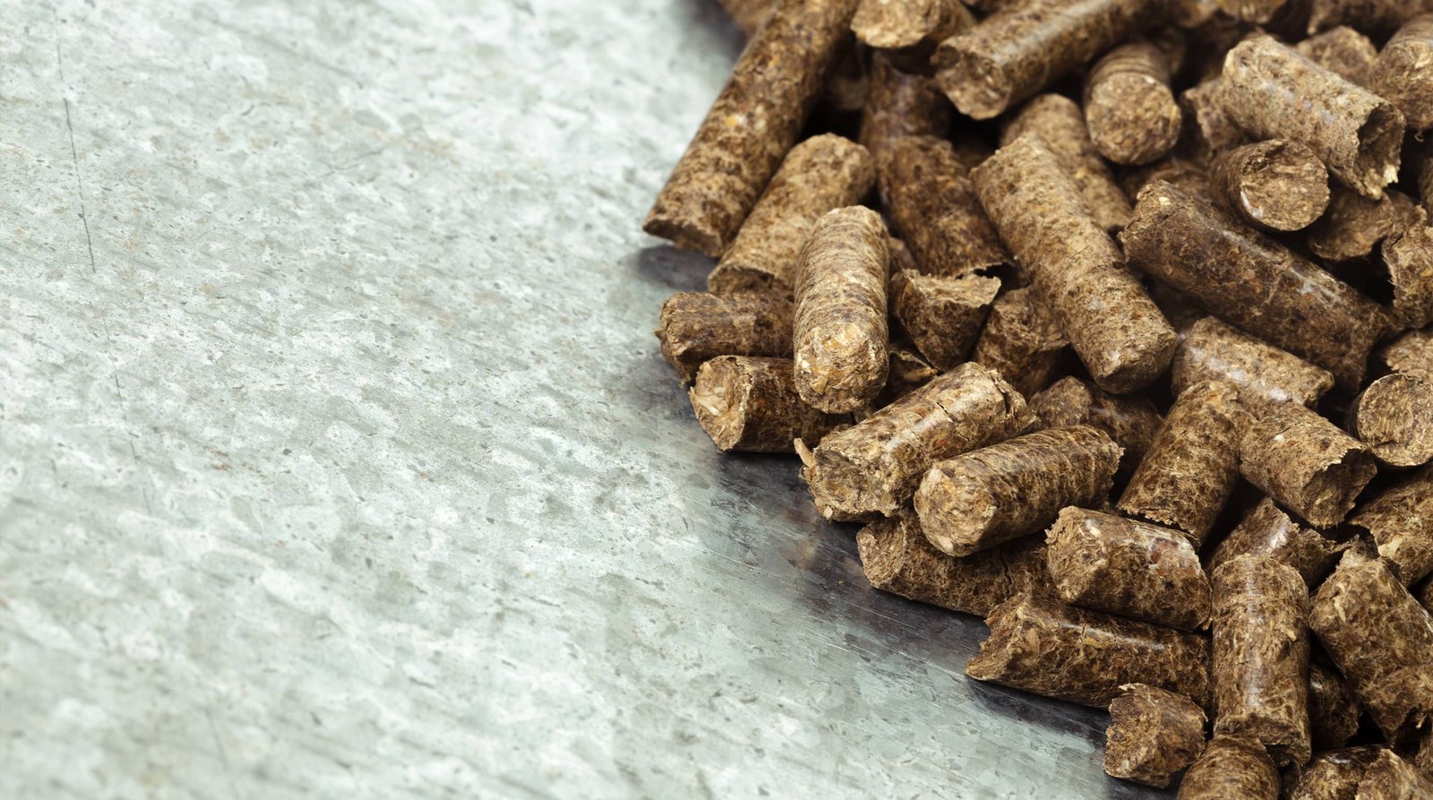 C&oacute;mo adaptar la alimentaci&oacute;n animal en verano con pienso ecol&oacute;gico y mejorar el rendimiento