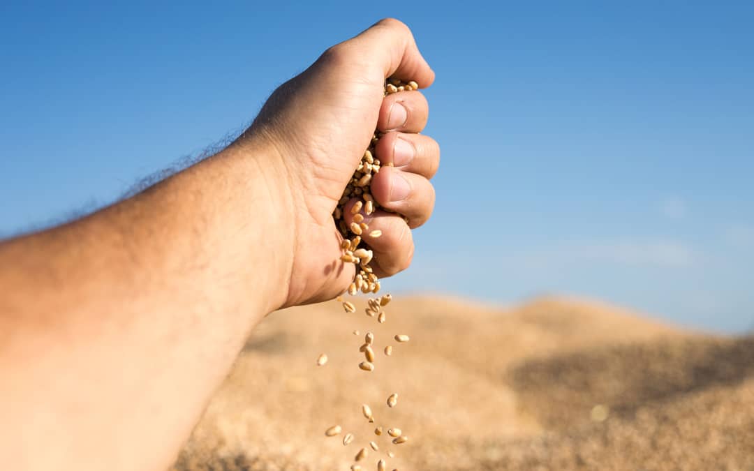 Somamos tradição e inovação em nosso compromisso com a alimentação orgânica